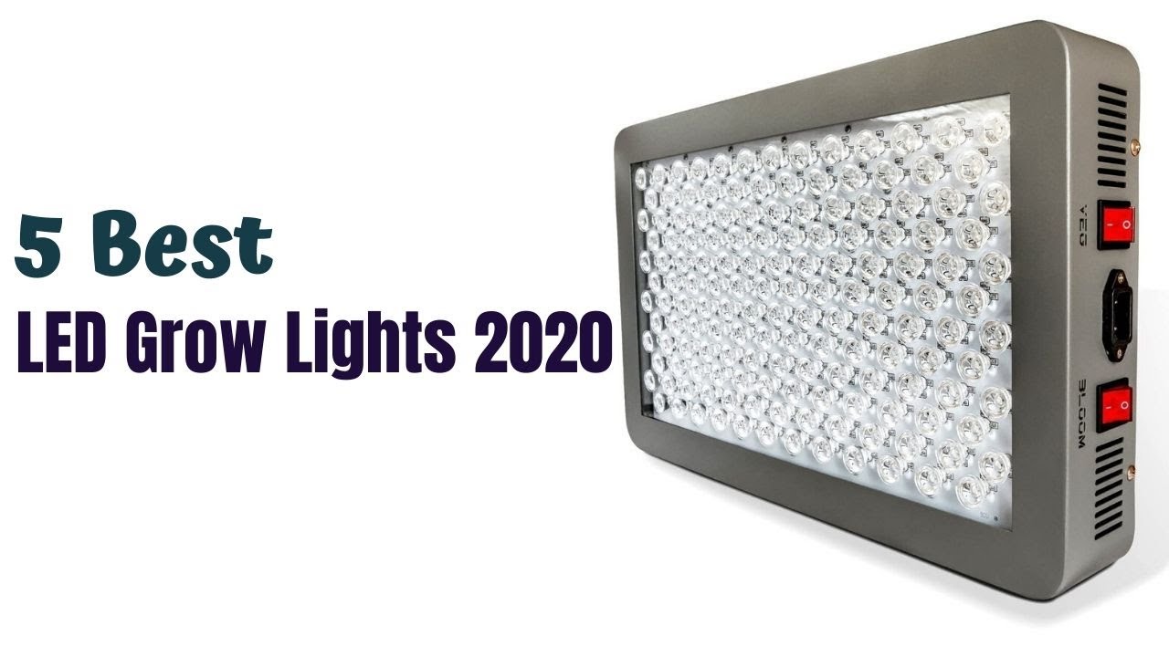 5 Best LED Grow Lights 2020 (Buying Guide) YouTube