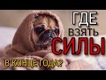 ГДЕ ВЗЯТЬ СИЛЫ В КОНЦЕ ГОДА? | 7 СОВЕТОВ