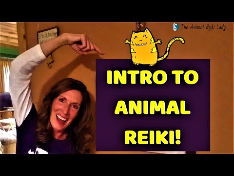 Intro to Animal