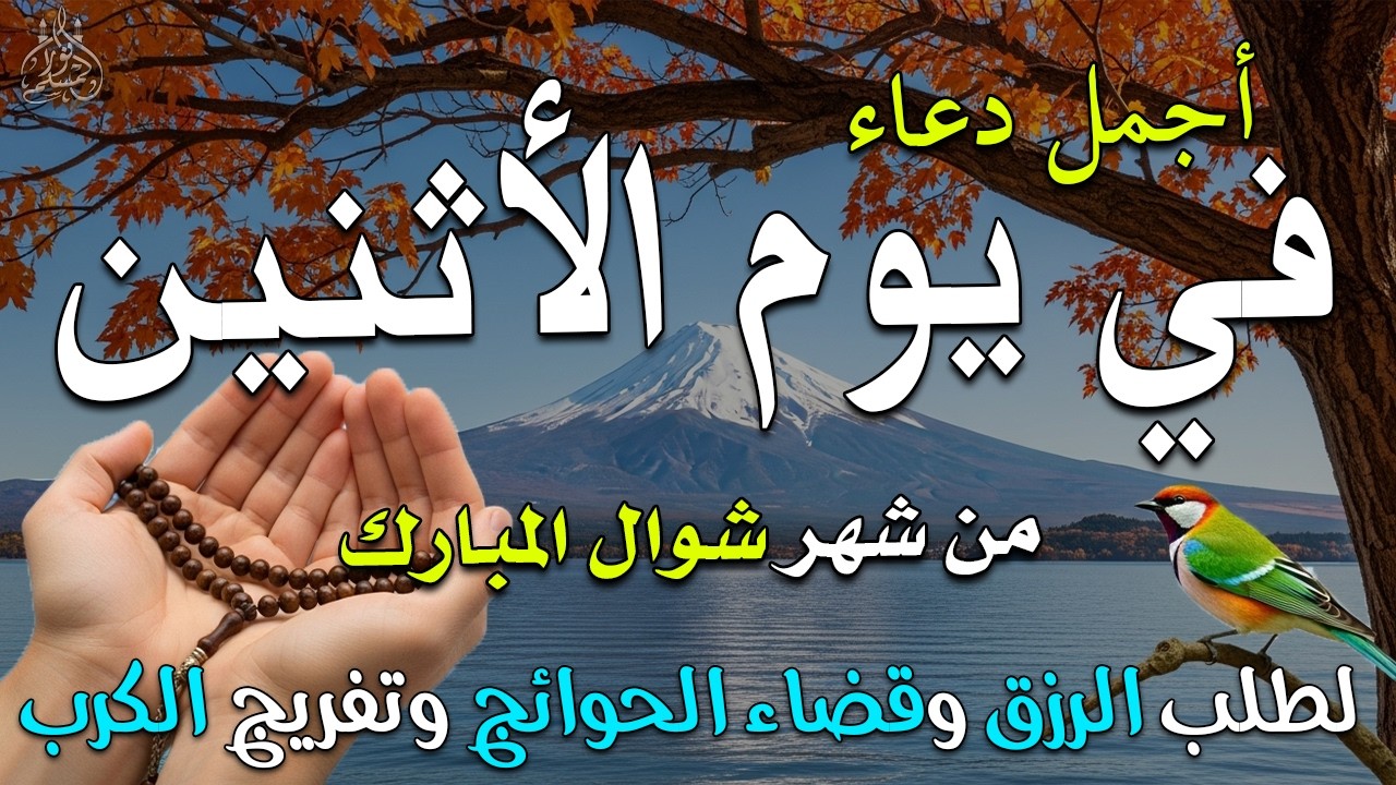 دعاء فى يوم الأثنين المستجاب دعاء فى يوم 19 من شهر رمضان للرزق والشفاء العاجل وقضاء الحوائج 🤲(4k)