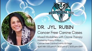 Dr Jyl Rubin Cancer Free Canine Approaches by Poppy Phillips 68 views 1 year ago 1 hour, 17 minutes