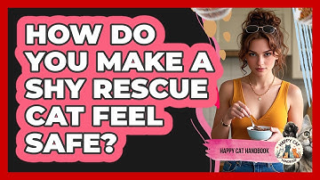 How Do You Make A Shy Rescue Cat Feel Safe? - Happy Cat Handbook