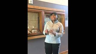 NAU EPS Native American Cultural Center