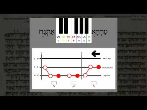 Meldemos: Segunda Introducción (¿Cómo aprendemos con Meldemos?)
