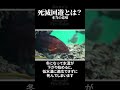 死滅回遊とは?季節回遊魚との違いは?地球温暖化の影響? #海水魚