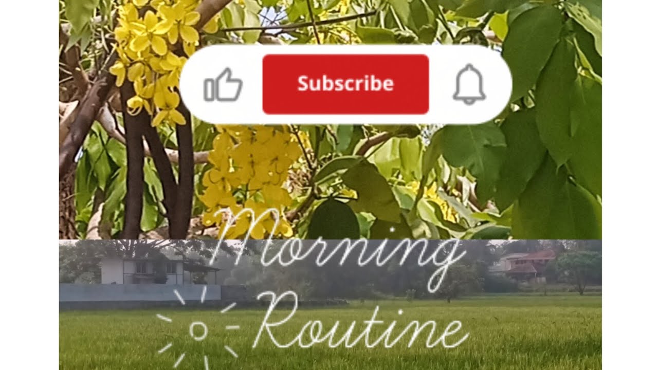 Youtube വരുമാനം കാത്തിരിക്കുന്ന ഞാൻ 🙄ഒന്നും നടക്കില്ല എന്നറിയാം 🙏🏼|day in my life|