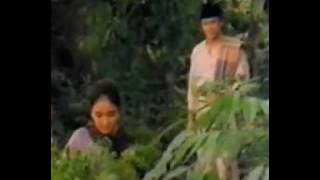 Pernikahan Berdarah Pt.1