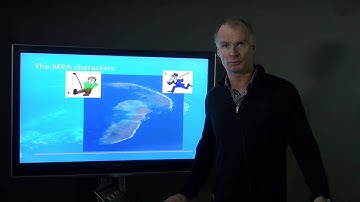 Five features that can improve marine protected areas