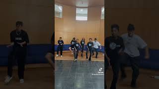 Dance Hub Company X Versatile Blenders