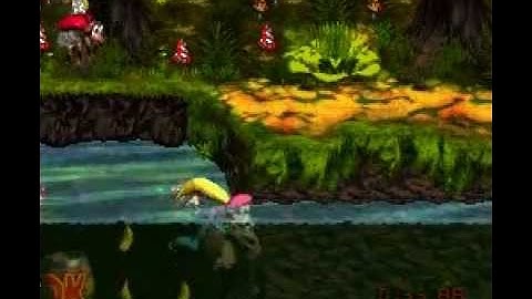 Donkey Kong Country 3: Riverside Race