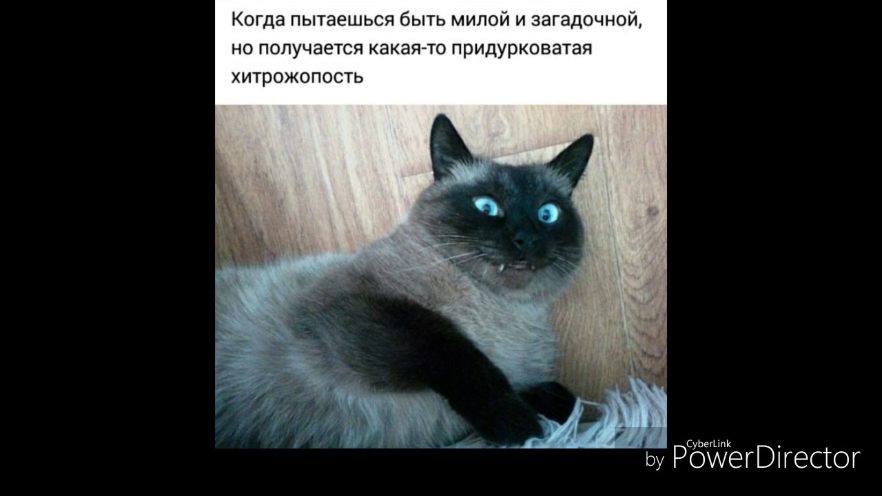 И я нормальным быть пытался но