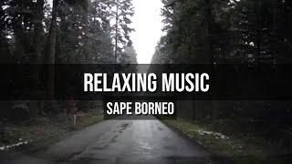 Relaxing Music -Sape Borneo (Free No Copyright Music)