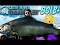 Catching Speilfinne The MASSIVE Legendary & How You Can Too! Call of the wild The Angler 9/27/2023