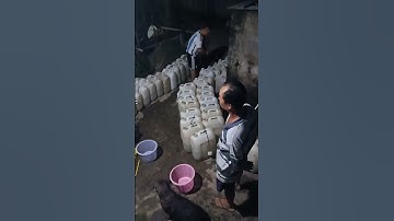 có đủ loại cá giống, anh chị cần alo 0909 77 05 09 #cá #cá_giống #trại_cá_giống_út_me #thủy_sản