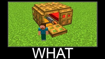 Wait What Minecraft Meme - part 23