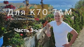 Часть 3. О Волеизъявлении для K7O 7AM. 9 января 2023 года