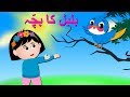 Bulbul ka bacha urdu poem      urdu nursery rhyme collection for babies