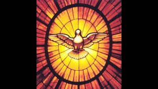C4 The Sacrament of Confirmation
