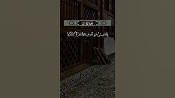 #سورة_آل_عمران #الشيخ_ماهر_المعيقلي #رحلة_إيمانية #تلاوة_مؤثرة #اكسبلور