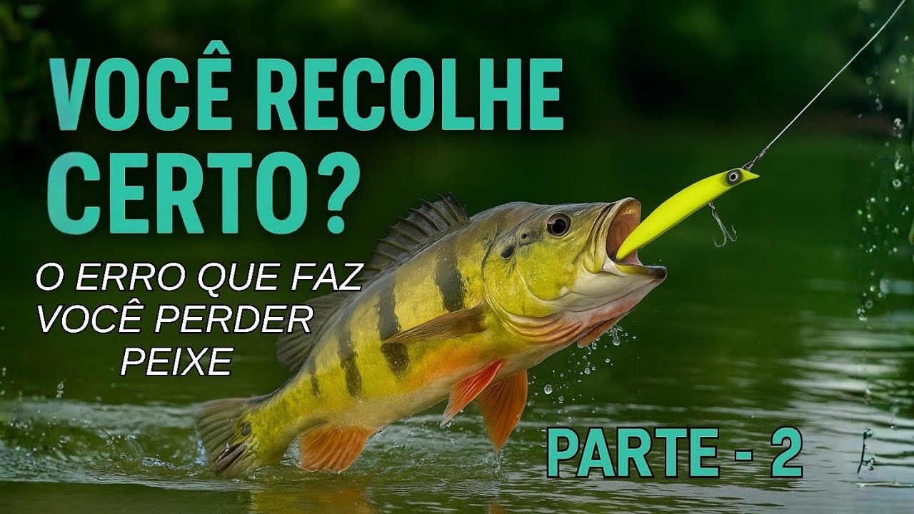 PARE DE PERDER PEIXE! O Segredo do Recolhimento que Ninguém Te Conta (Parte 2)