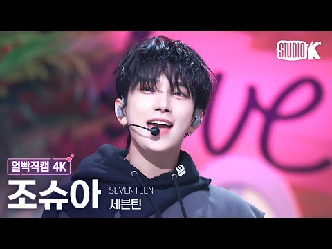 [얼빡직캠 4K] 세븐틴 조슈아 'LOVE, MONEY, FAME'(SEVENTEEN JOSHUA Facecam) @뮤직뱅크(Music Bank) 241018