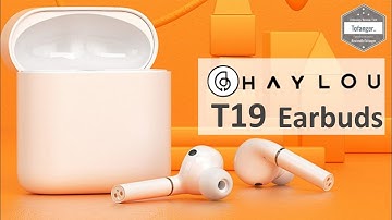Haylou T19 TWS Bluetooth Earphones - App Haylou - Bluetooth 5 - DSP Noise reduction - Unboxing