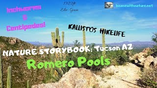 Romero Canyon Trail to Romero Pools Storybook: Tucson, AZ by Kalli Moon Adventures 49 views 4 years ago 1 minute, 25 seconds