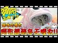 【Bonnie】阿布在哪裡?! - 貓咪的睡衣│阿布的超萌睡衣"皮卡丘與史迪奇" ! ! 終於有衣服可以賣萌啦 ! !