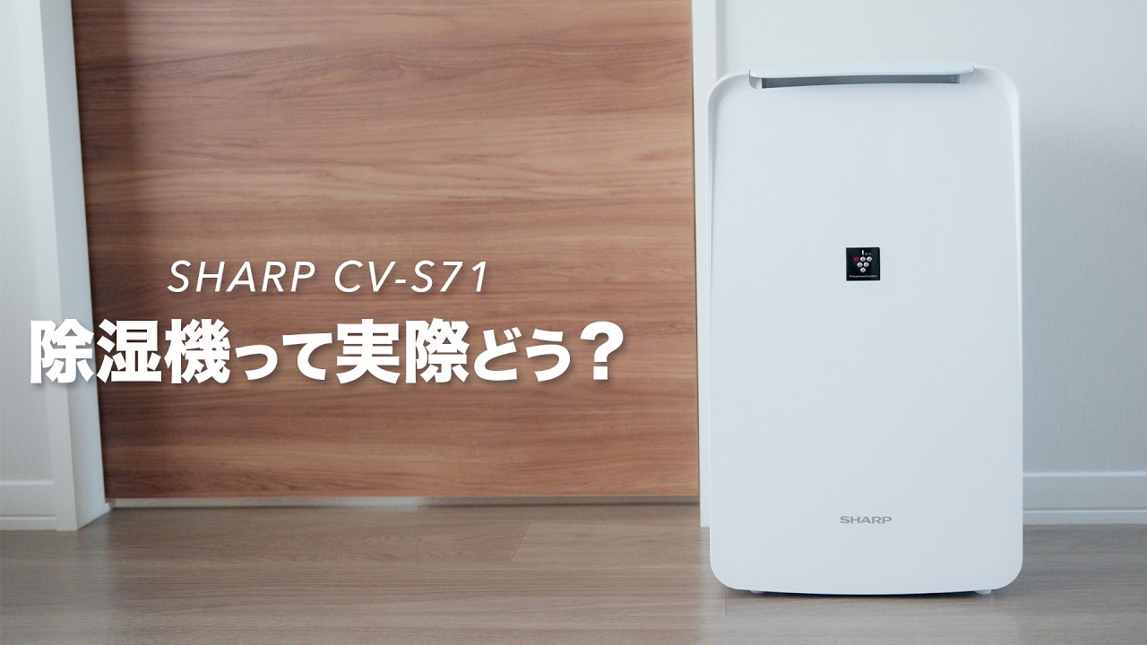What's the deal with dehumidifiers in practice? | Review of the