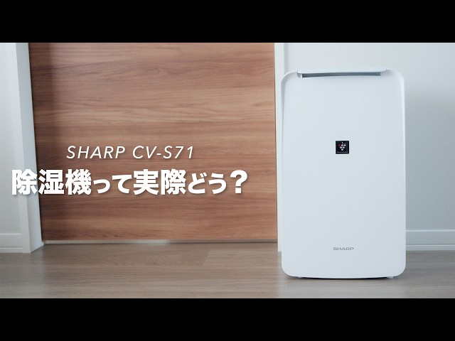 What's the deal with dehumidifiers in practice? | Review of the