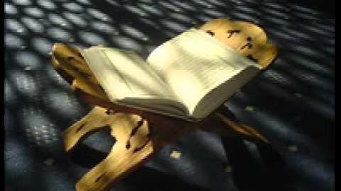 عادل ريان  سورة التحريم