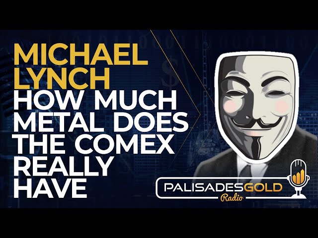 Michael Lynch: How Much Metal Does the Comex Really Have class=