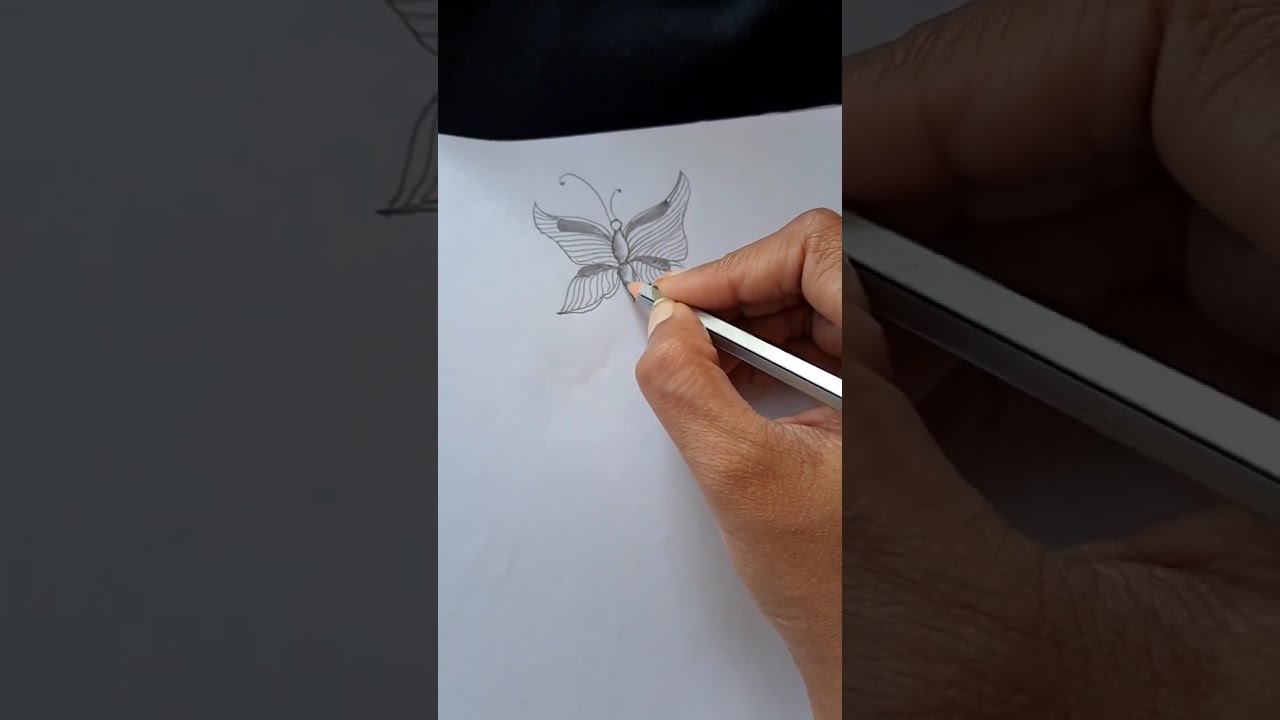 [ Butterfly ] Sketching, Step by Step For kids