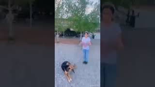 Mariam With Her Kind Dog