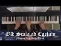 Kingdom Hearts Missing-Link on piano (Old Scala ad Caelum battle theme)