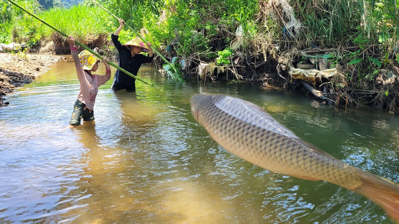 Meet many big fish in puddle with many hidden caves. The girl uses ...