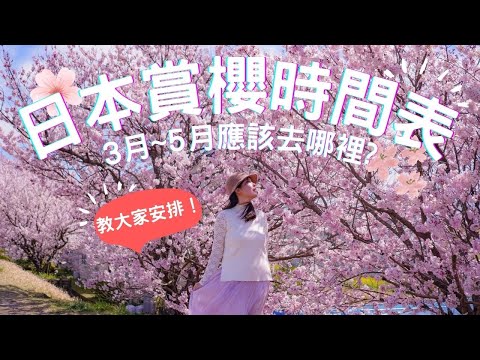 [LIVE 1小時] 日本櫻花時間表 3月至5月到底去哪裡賞花？滿開日推測 教大家安排！ #日本旅遊 #日本