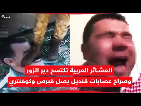العشائر العربية تكتسح دير الزور وصراخ عصابات قنديل وصل إلى قبرص وكوفنتري في بريطانيا