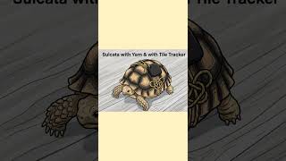 My Sulcata with Yarn & with Tile Tracker Only 🐢🧶 #ytviral #sub #turtle #view