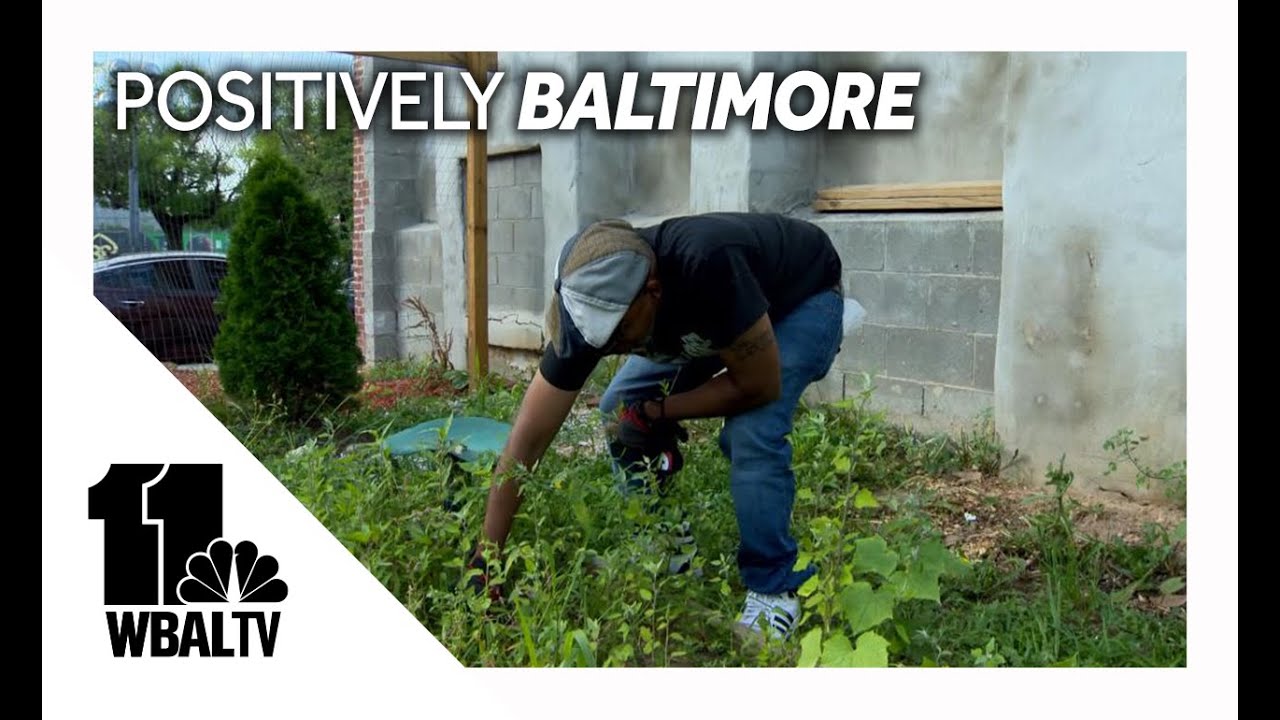 Army vet's west Baltimore farm makes impact on community YouTube