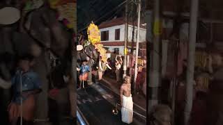 Festival night #elephant #pooram #thrissur #fortkochi #pattalam #temple #utsavam