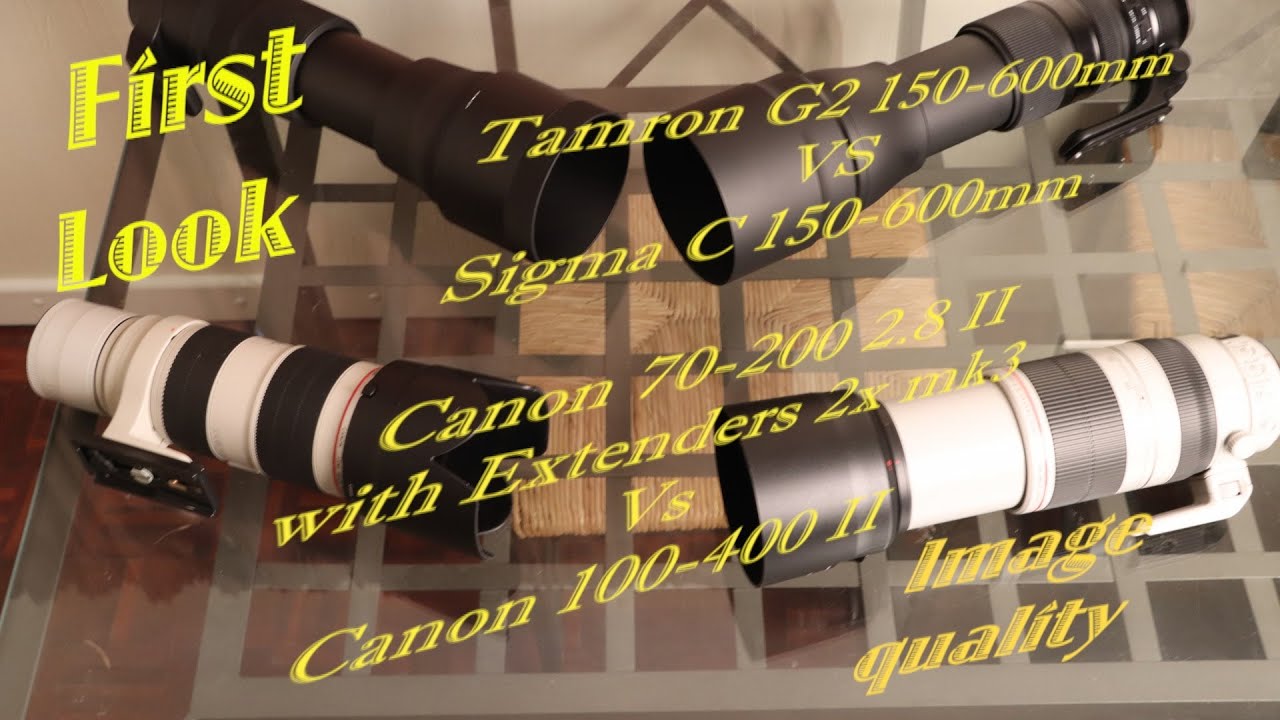 Canon 70-200 2.8 II with 2.0 x extender vs Canon 100-400 II L