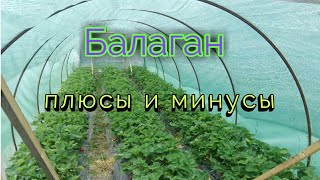 видео: Плюсы и минусы балаганов. картинка: Плюсы и минусы балаганов.