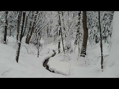 Трускавецький парк взимку 10 лютого 2018 р.