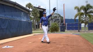 New York Mets Pitcher Matt Harvey Throws Off The Mound