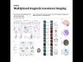 1034-MRx for Simultaneous Biomarker Mapping
