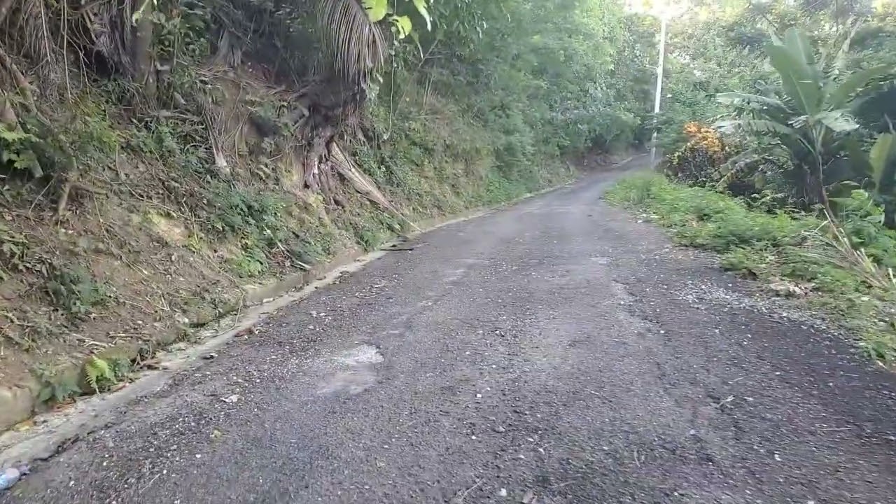 A Long walk up by Richmond Hill in Pear Tree River