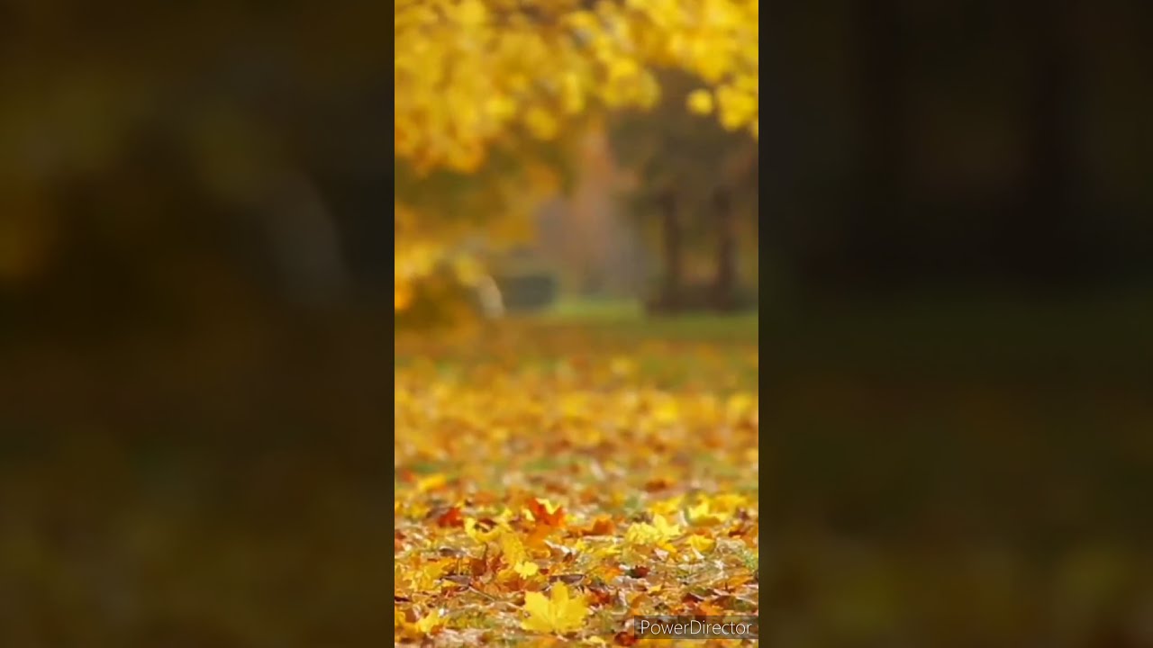 Some Time Disconnect Out Sight The World Listen Your Heart And Mind Short Meditation
