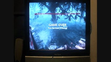 COD5 Shi No Numa 3d Person Glitch