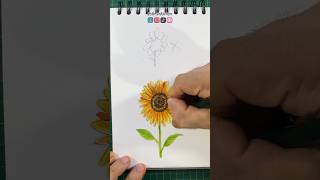 How to draw a sunflower 🌻 #drawing #art #tutorial #drawing #art